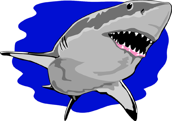 Shark team mascot full color vinyl sports decal. Customize on line. Shark 1